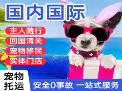 邯郸机场托运国际宠物托运 【国